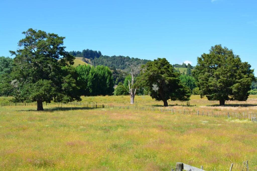 Riverlea Cottage - Cosy, Comfy, Quiet, Central Taumarunui Exteriör bild