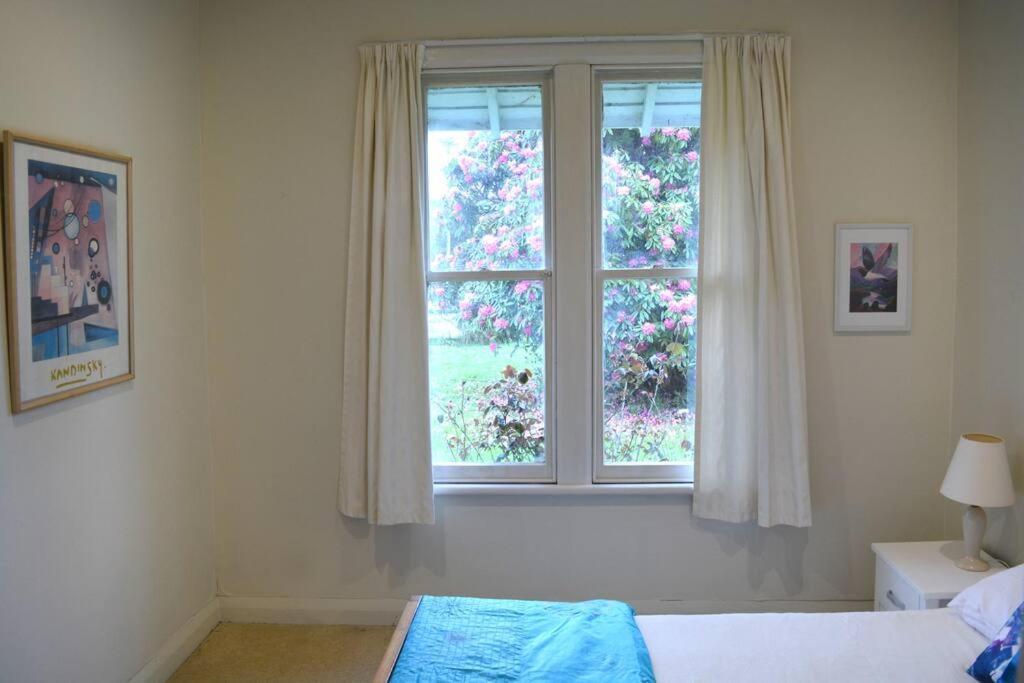 Riverlea Cottage - Cosy, Comfy, Quiet, Central Taumarunui Exteriör bild