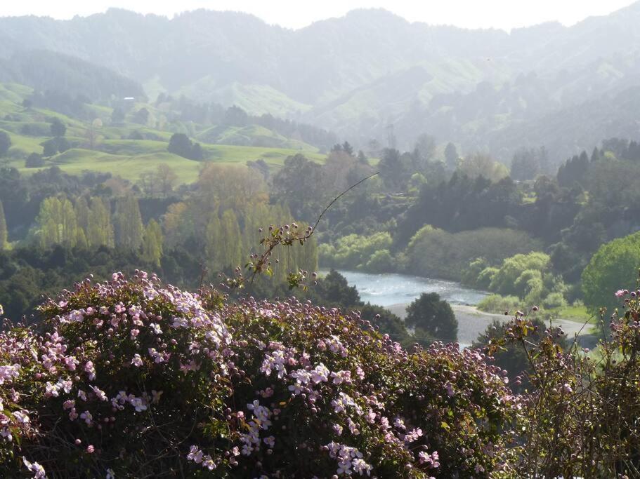 Riverlea Cottage - Cosy, Comfy, Quiet, Central Taumarunui Exteriör bild