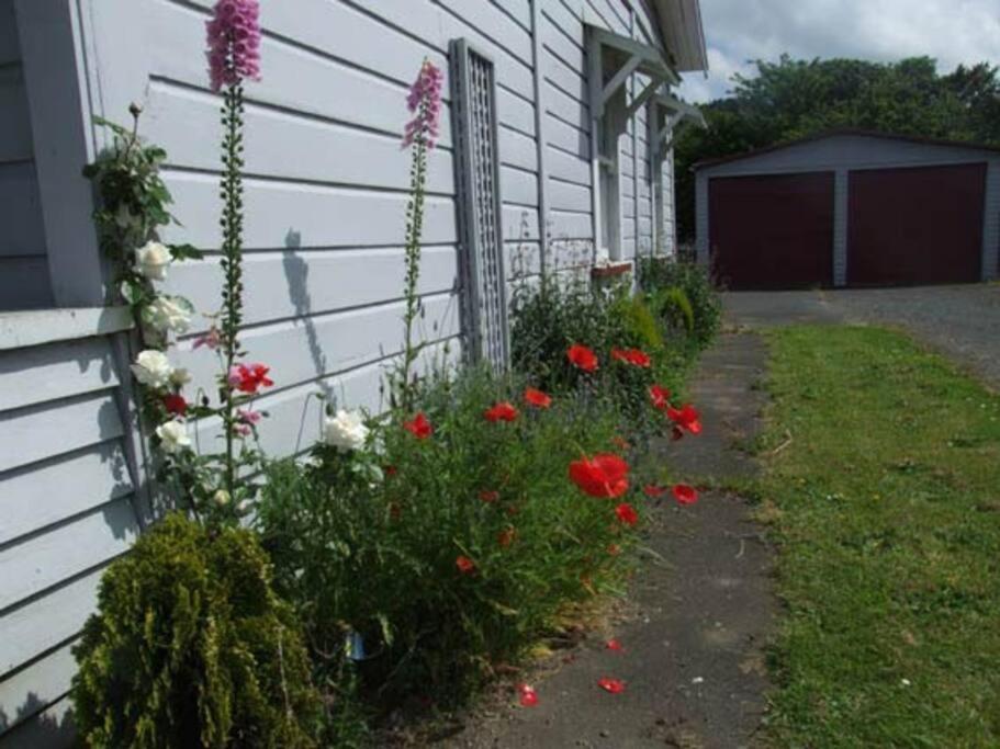 Riverlea Cottage - Cosy, Comfy, Quiet, Central Taumarunui Exteriör bild
